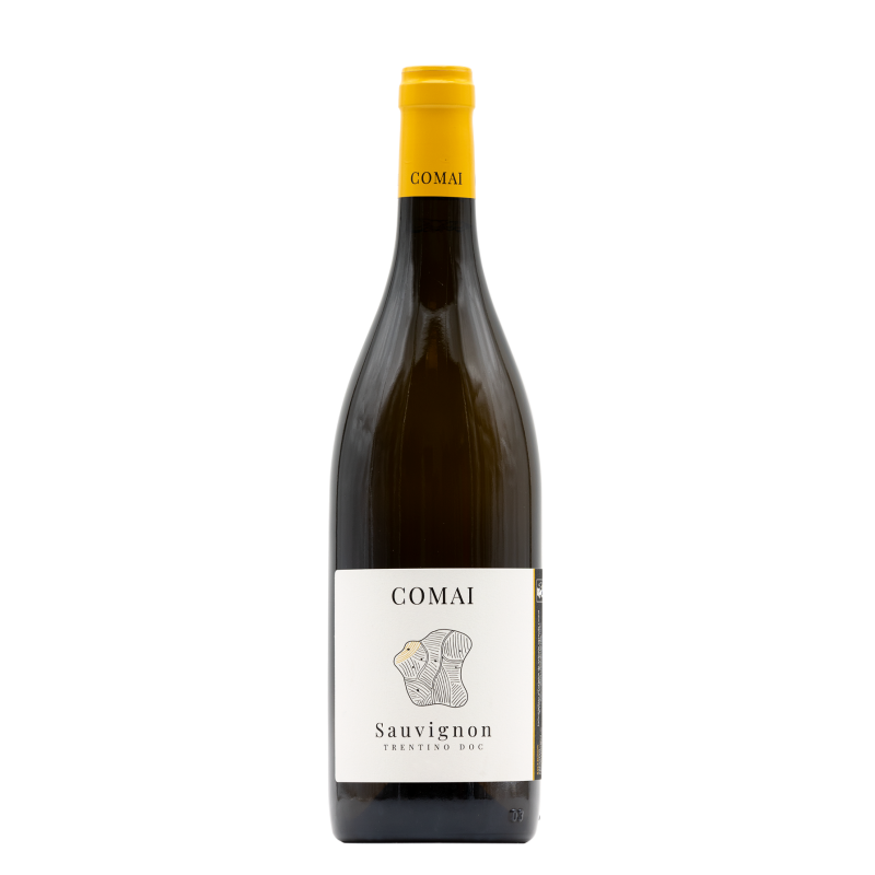 Comai - Sauvignon Blanc | Acquistalo su Gardavino