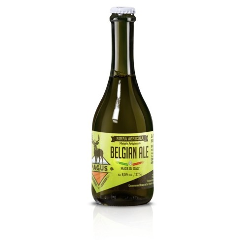 Pagus - Belgian Blond Ale 37,5 Cl - Acquista su GardaVino